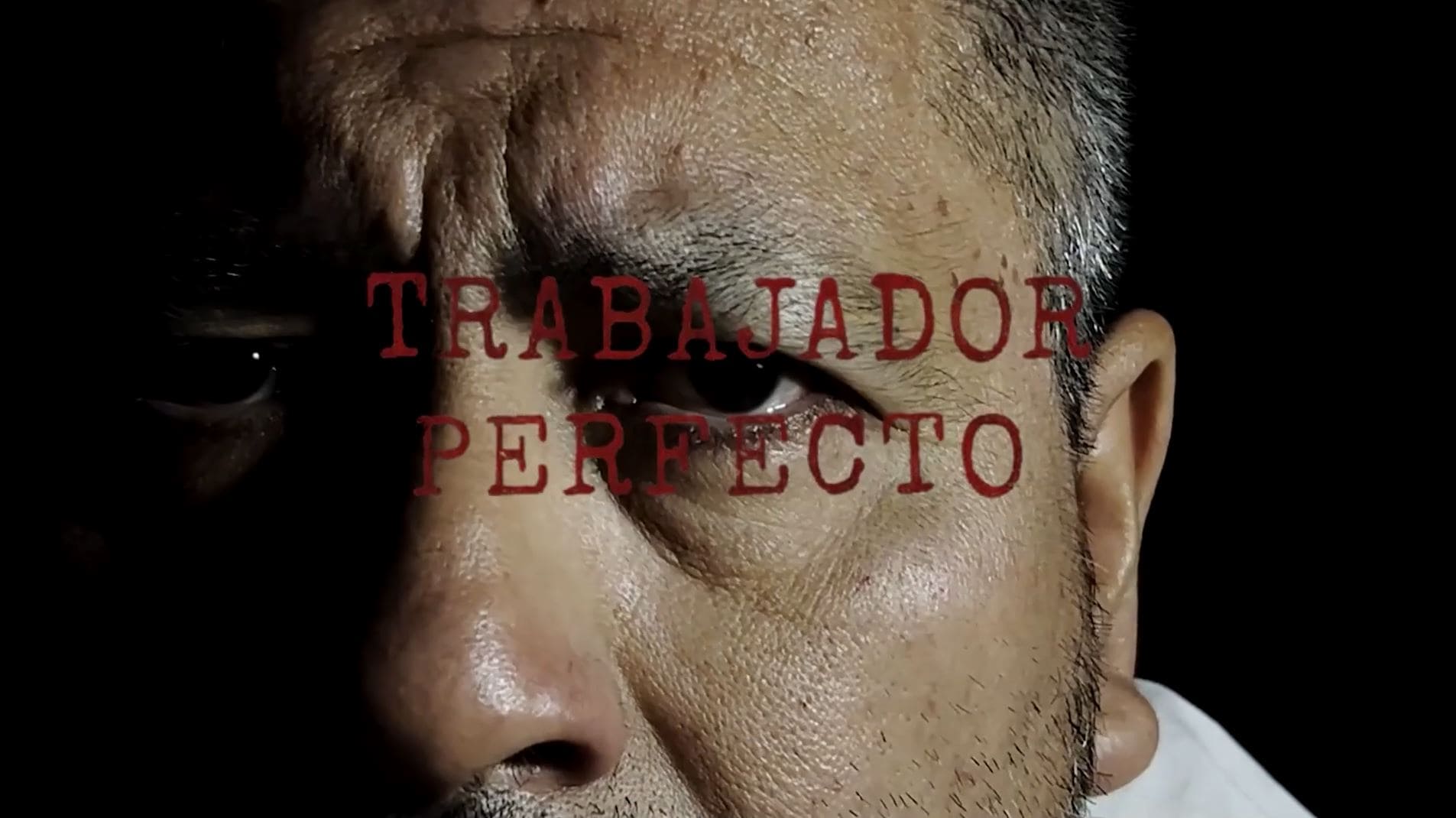 TRABAJADOR PERFECTO - Instituto América Latina